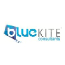 bluekiteconsultants.com