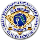 bluelightningprotection.com