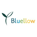 bluellow.com