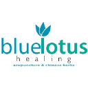 bluelotushealingcentre.com
