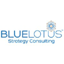 bluelotusstrategy.com