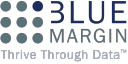 bluemargin.com
