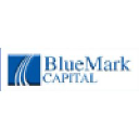 bluemarkcapital.com
