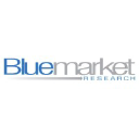 bluemarketresearch.com