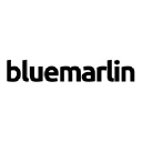Blue Marlin Brand Design
