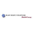 bluemicrosolutions.com