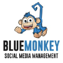 bluemonkeysocialmedia.com