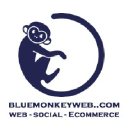 bluemonkeyweb.com