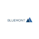 bluemont-consulting.com