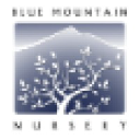 bluemountainnsy.com
