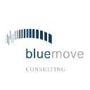 bluemove-consulting.de