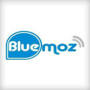 bluemoz.it