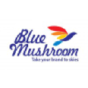 bluemushroom.co.in