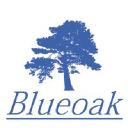 blueoak.it