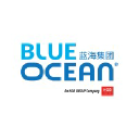 blueoceangroup.com