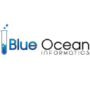 blueoceaninformatics.com
