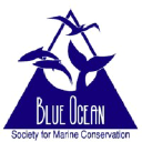 blueoceansociety.org