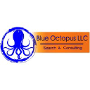 blueoctopusllc.com