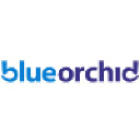 blueorchid.co.uk