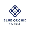 blueorchid.com