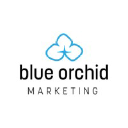 blueorchidmarketing.com