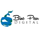 bluepeardigital.com