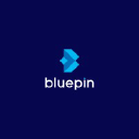 bluepindigital.in