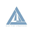 bluepinestrategies.com