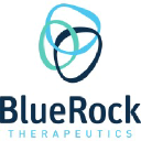 BlueRock Therapeutics LLC