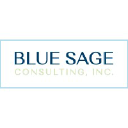 bluesageconsulting.com