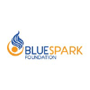 bluesparkfoundation.org.uk
