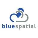 bluespatial.com