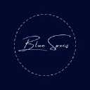 bluespecsglasses.com