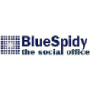 bluespidy.com