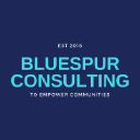 bluespurconsulting.co.nz