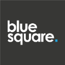 bluesquaremarketing.co.uk