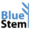 bluestemmarketing.com