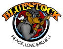 Bluestock Fintech