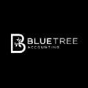 Bluetree Accounting LLC in Elioplus