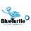 Blueturtle logo