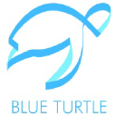 blueturtletax.com
