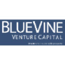 bluevineventures.com