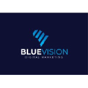 bluevisionafrica.com