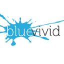 bluevivid.com