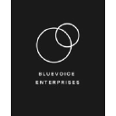 bluevoiceenterprises.com