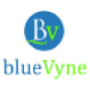 bluevyne.com