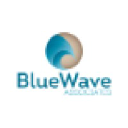 bluewaveassociates.com