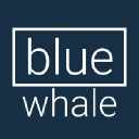 bluewhale.no