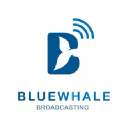 bluewhalebroadcast.com