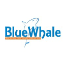 bluewhalestech.com